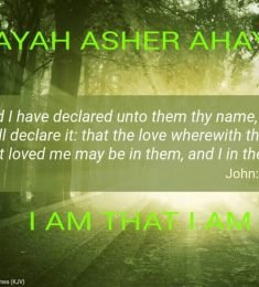 14400 YIsrael, 46 years old, Woman, Southfield, USA