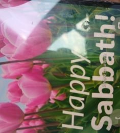 Easter, 52 years old, Dallas, USA